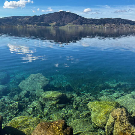 UP Watersports - Wassersportgeschäft Weyregg am Attersee